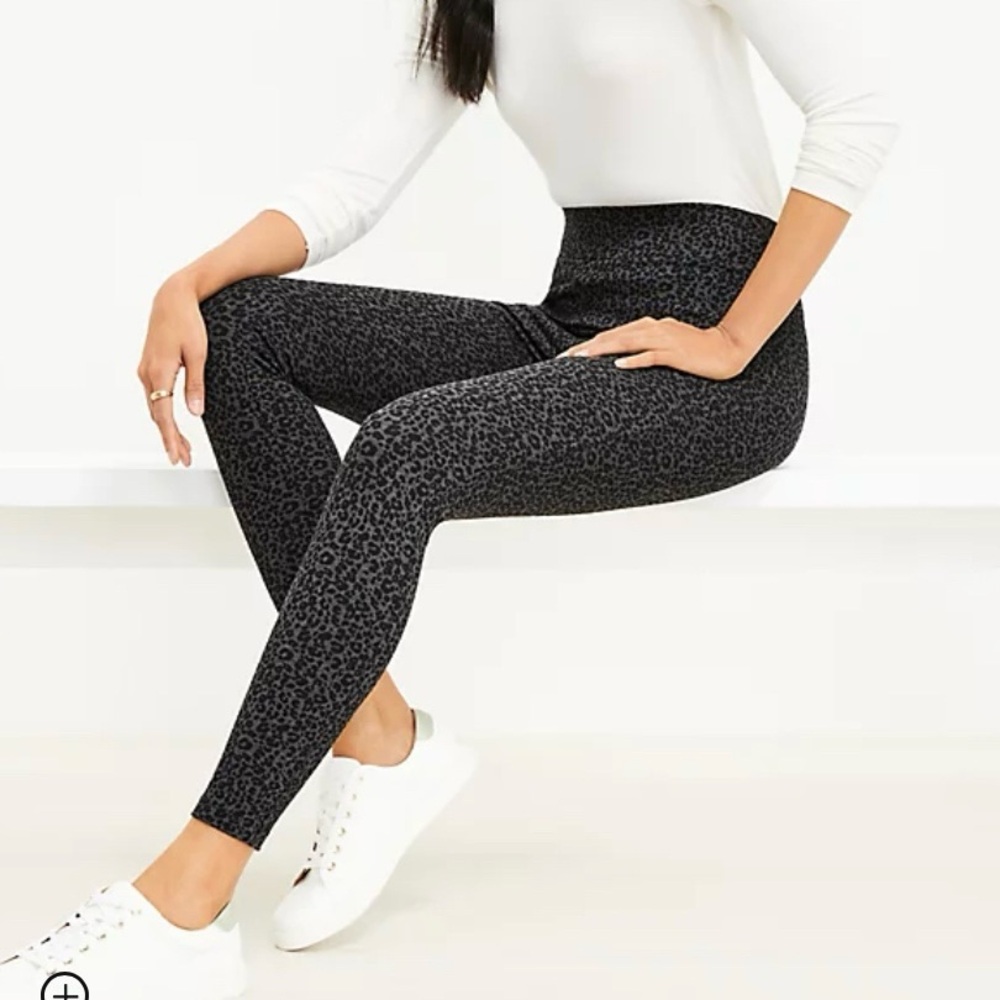LOFT NWT Leopard Daisy Print Pointe Black Leggings Size MP‎
